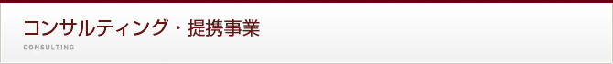 コンサルティング・提携事業